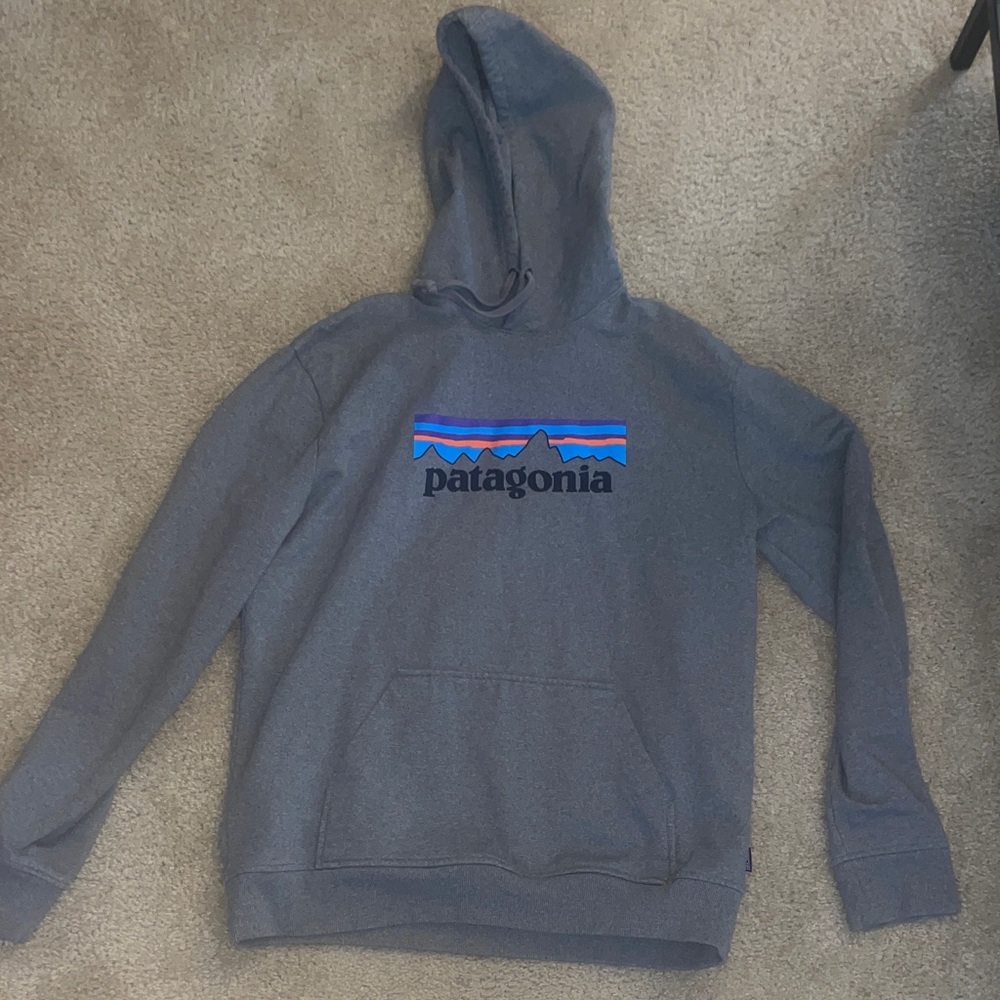 Patagonia Gray Hoodie with Blue Accents